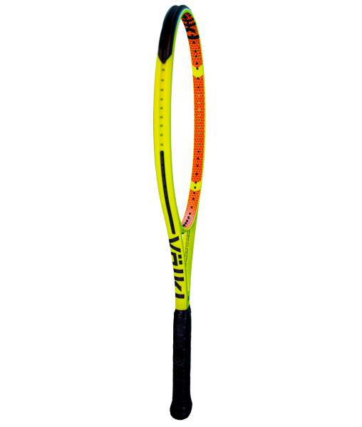 V-CELL 10 300G